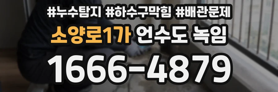 소양로1가 언수도 녹임