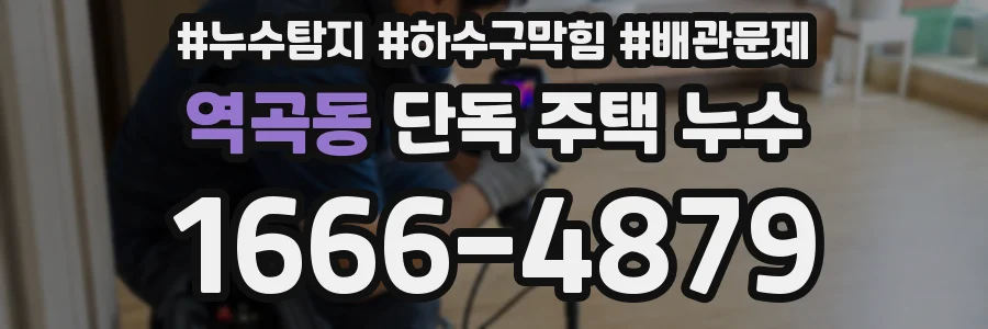 역곡동 단독 주택 누수