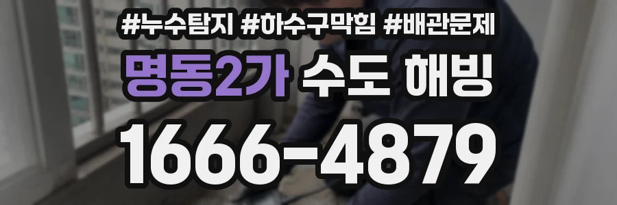 명동2가 수도 해빙