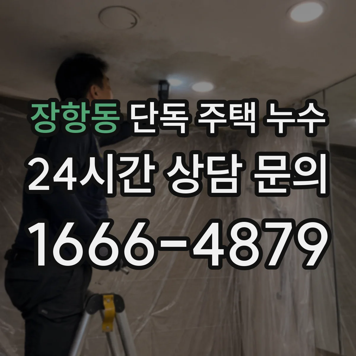 장항동 단독 주택 누수