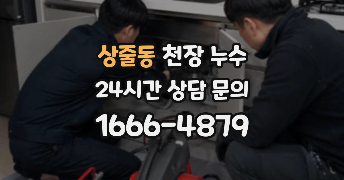 상줄동 천장 누수