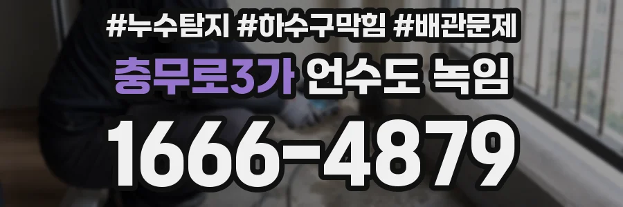충무로3가 언수도 녹임