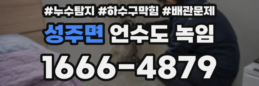 성주면 언수도 녹임