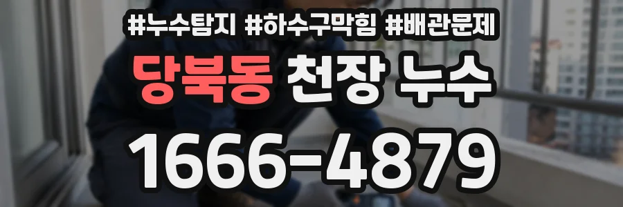 당북동 천장 누수