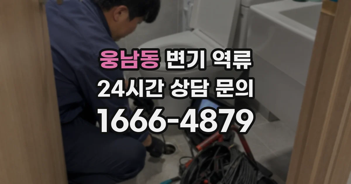 웅남동 변기 역류