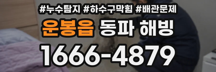 운봉읍 동파 해빙