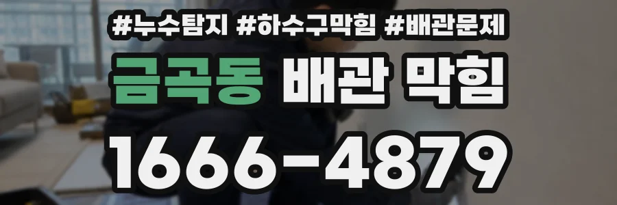 금곡동 배관 막힘
