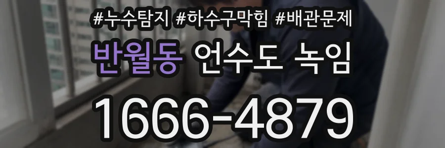 반월동 언수도 녹임