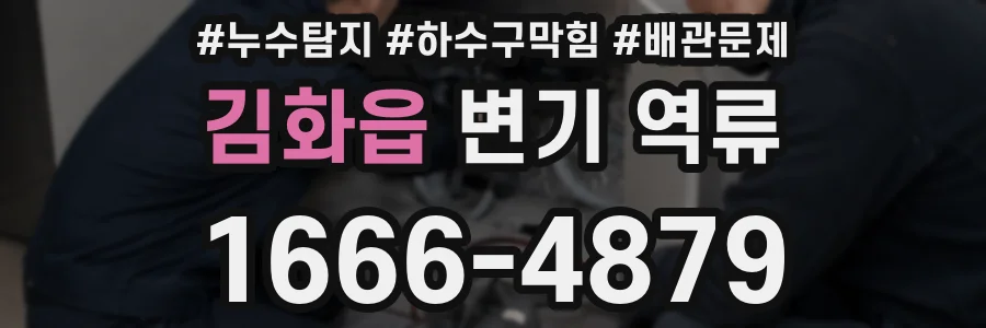 김화읍 변기 역류