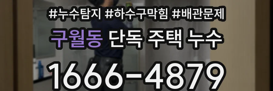 구월동 단독 주택 누수