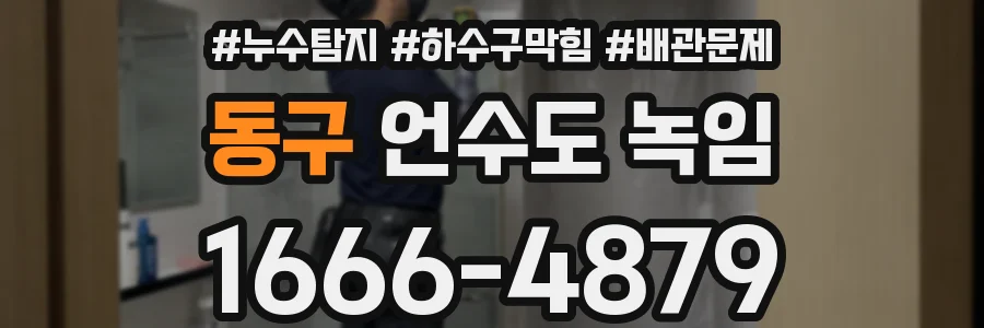 동구 언수도 녹임