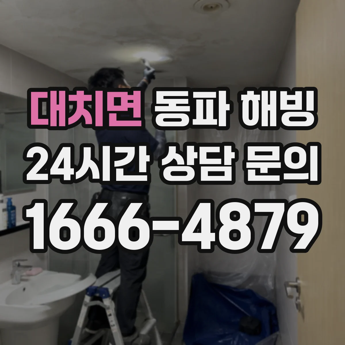 대치면 동파 해빙