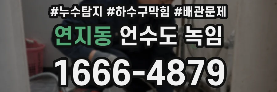 연지동 언수도 녹임