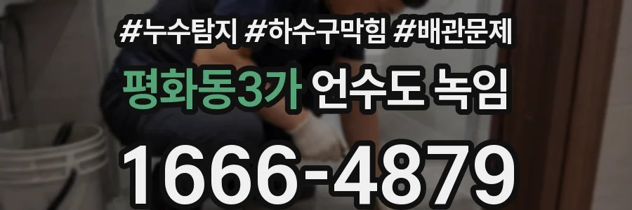 평화동3가 언수도 녹임