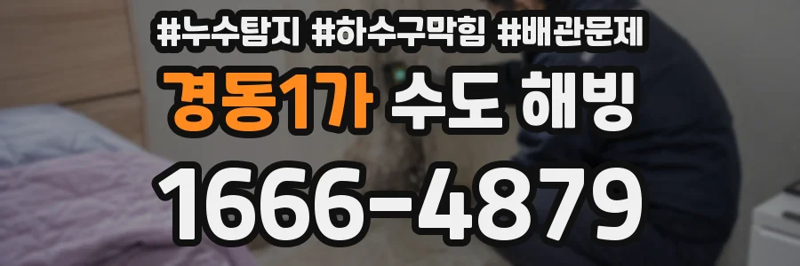 경동1가 수도 해빙