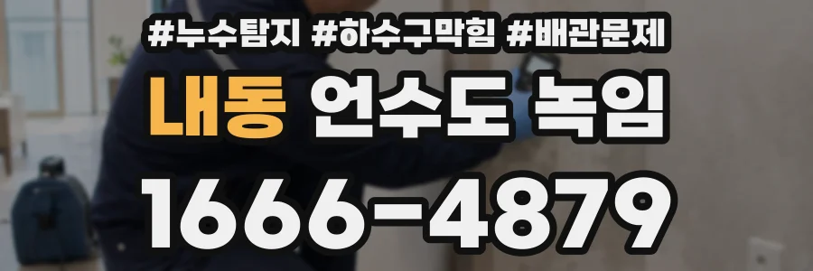 내동 언수도 녹임