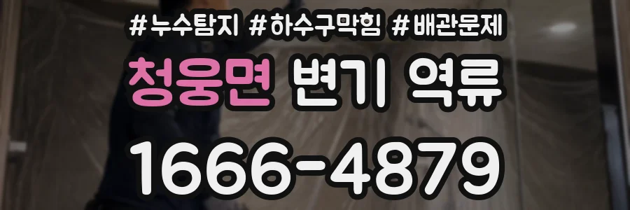 청웅면 변기 역류