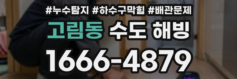 고림동 수도 해빙