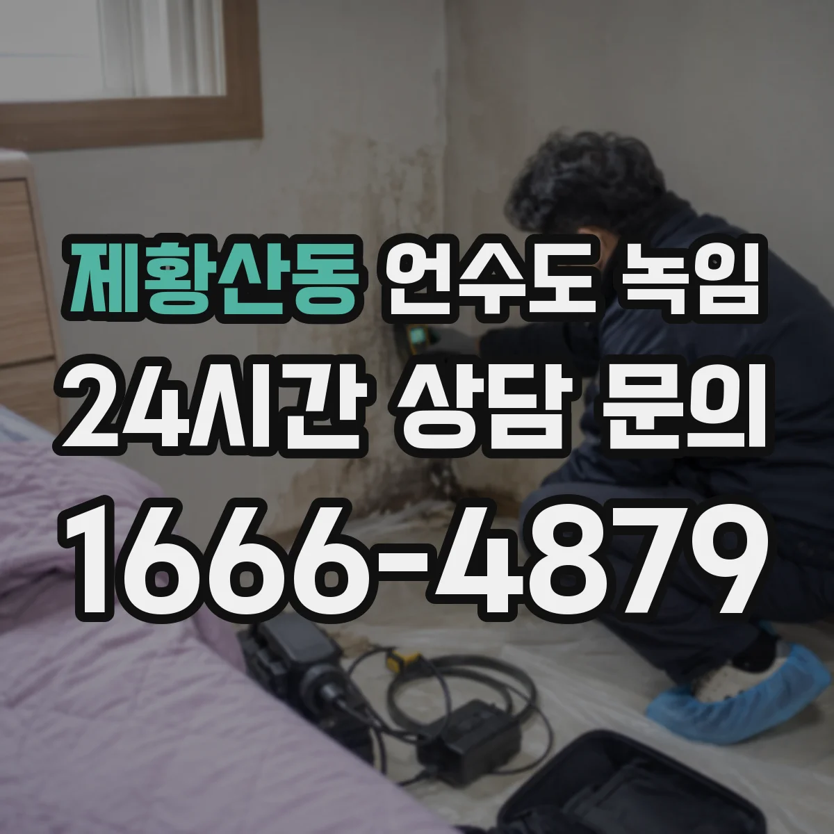 제황산동 언수도 녹임