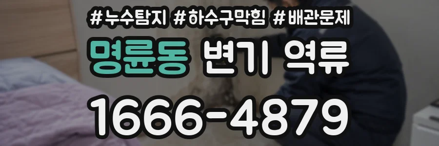 명륜동 변기 역류