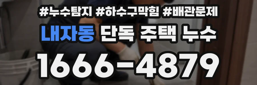 내자동 단독 주택 누수