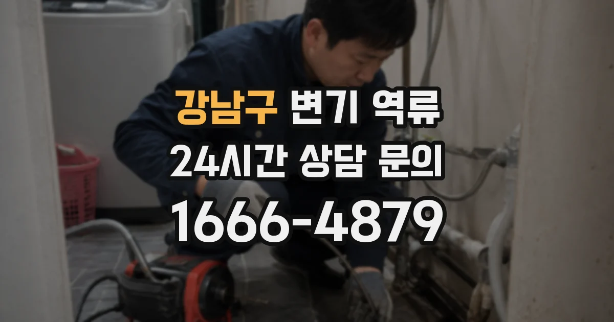강남구 변기 역류