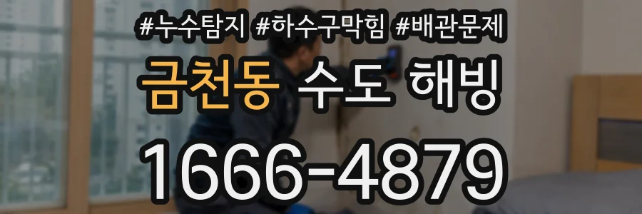 금천동 수도 해빙
