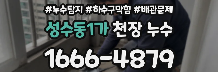 성수동1가 천장 누수