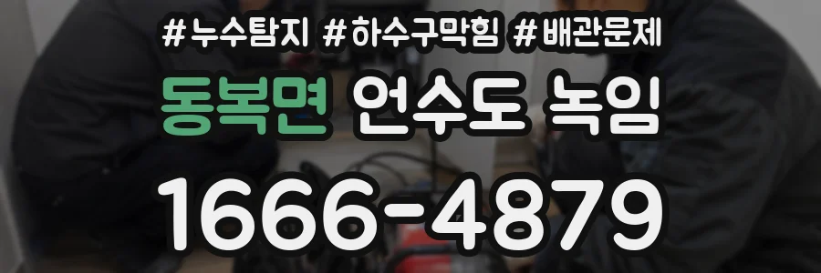 동복면 언수도 녹임