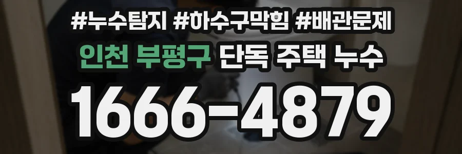 인천 부평구 단독 주택 누수