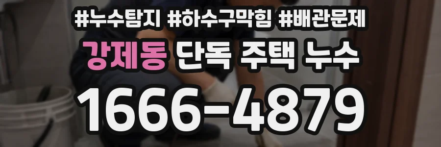 강제동 단독 주택 누수