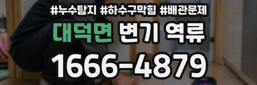 대덕면 변기 역류