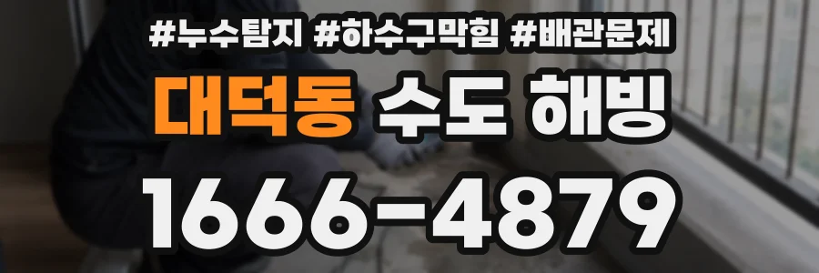 대덕동 수도 해빙
