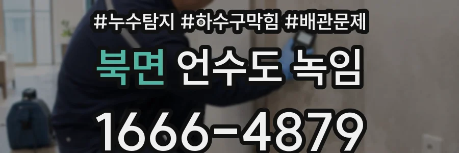 북면 언수도 녹임
