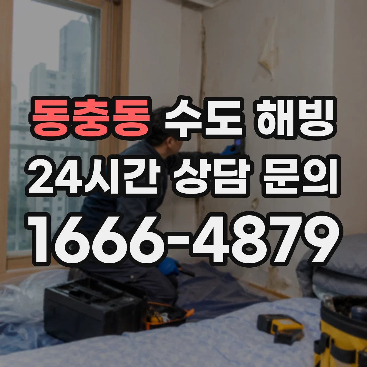 동충동 수도 해빙