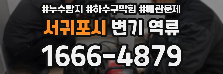 서귀포시 변기 역류