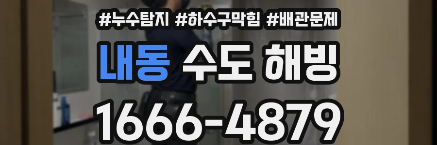 내동 수도 해빙