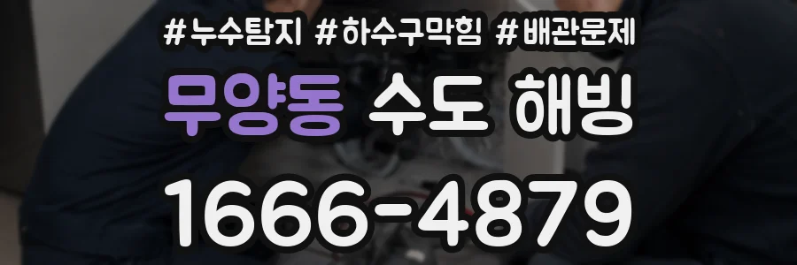 무양동 수도 해빙