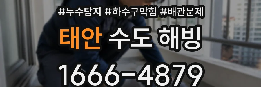 태안 수도 해빙