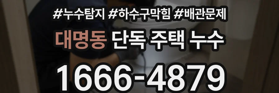 대명동 단독 주택 누수