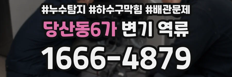 당산동6가 변기 역류