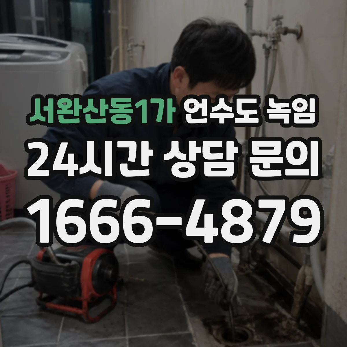 서완산동1가 언수도 녹임