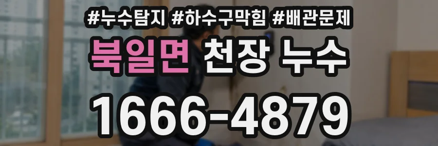 북일면 천장 누수