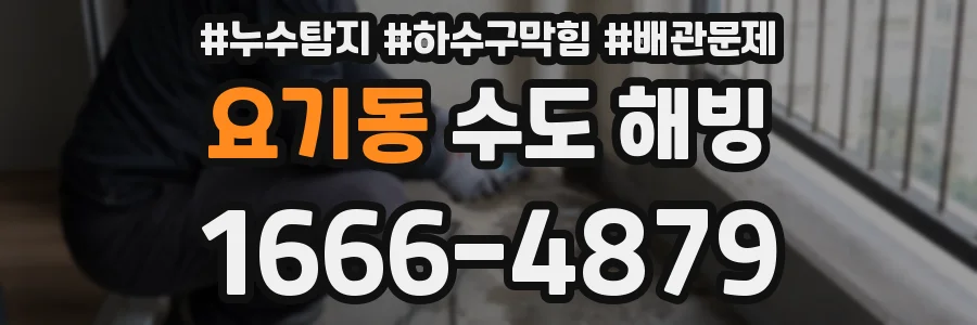 요기동 수도 해빙