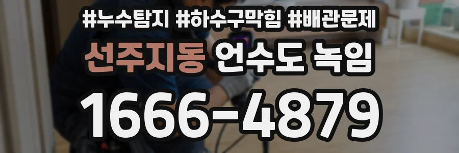 선주지동 언수도 녹임