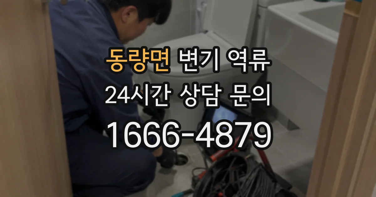 동량면 변기 역류