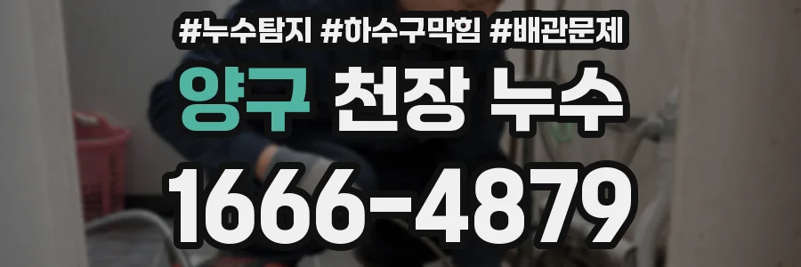 양구 천장 누수