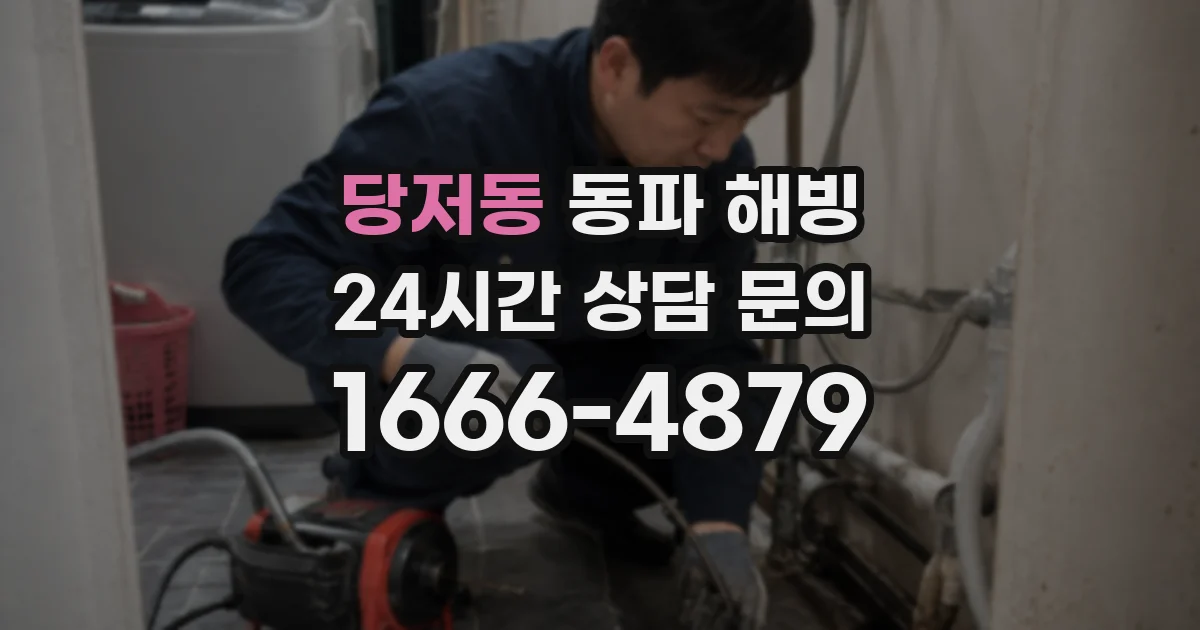 당저동 동파 해빙