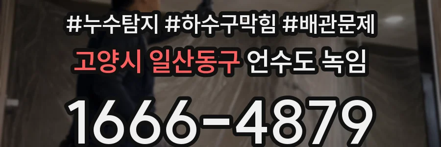 고양시 일산동구 언수도 녹임