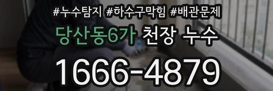 당산동6가 천장 누수